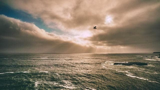 News illustration for Police identify 18-year-old as suspect in Tumbler Ridge shooting 