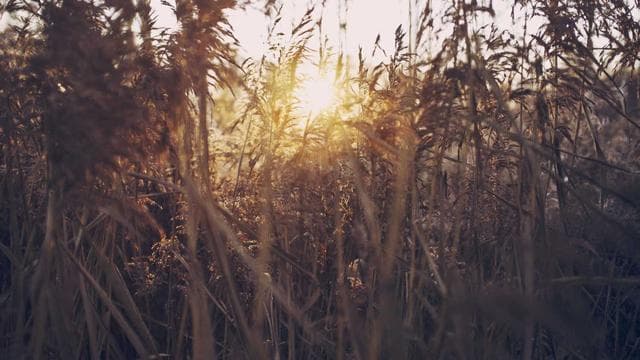 News illustration for Trump says he will increase his new global tariffs to 15%